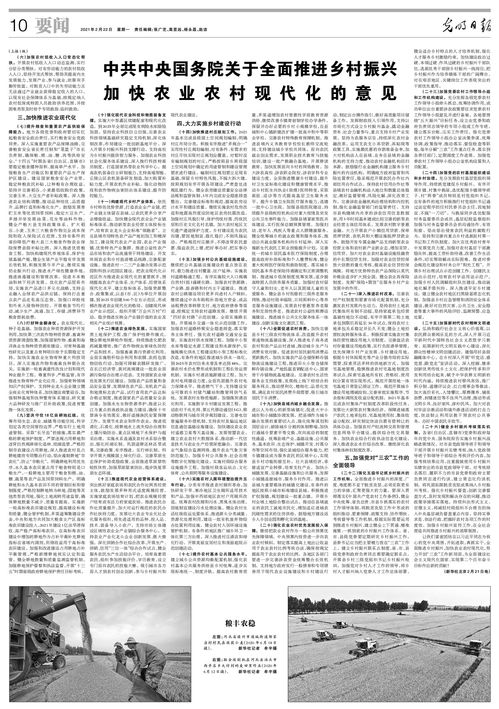 农村高额彩礼问题：一场关于传统与现代的博弈