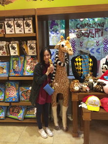 长隆森林王国探秘：一场奇妙的自然之旅