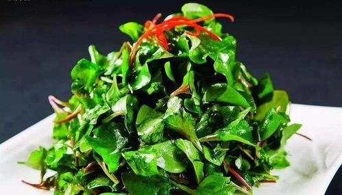 春菜里的春天味道，舌尖上的季节之旅