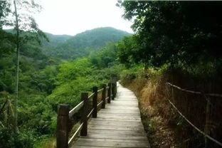 黄山游步道结冰，雪景虽美但安全更重要