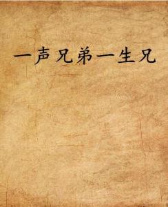 兄弟情深：从江湖道义到现实人生