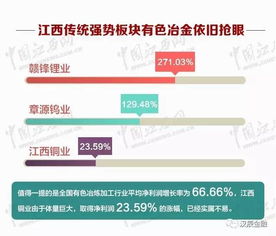 德国政坛新星：魏德尔的中文实力为何引发热议？