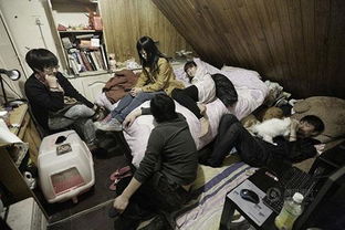 北漂追梦：04年北漂打工的坎坷与成长