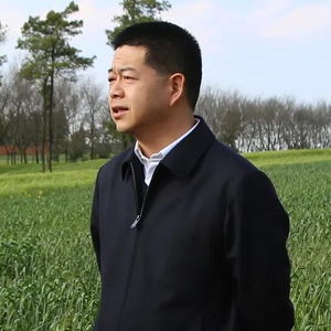 县委书记投案背后：一场震撼官场的反腐风暴