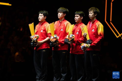 王楚钦战胜梁靖崑夺冠：我的乒乓征程