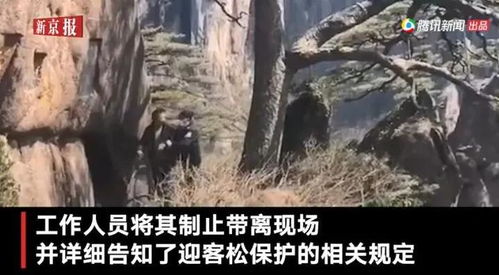 黄山奇迹：18岁小伙失联10天后获救，他的经历让人泪目