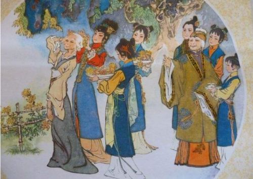 刘姥姥再进大观园：一场穿越时空的奇妙之旅