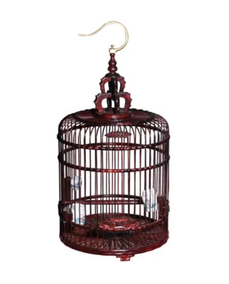 鸟笼的独白：一只麻雀的自由与囚禁