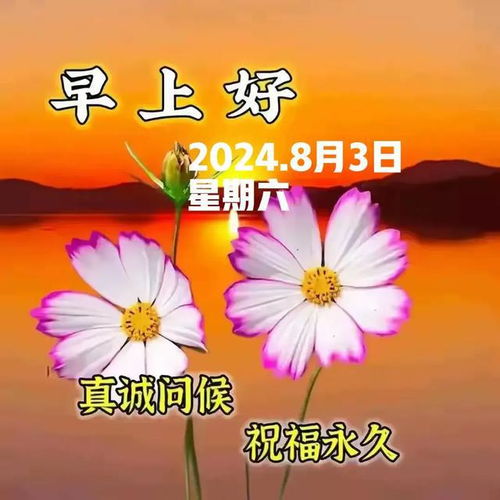 周末早晨：与自己对话的美好时光