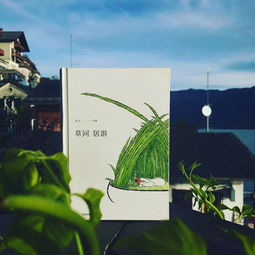 远方季风：Three of Fire的炽热之旅