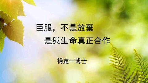 读《臣服实验》有感：一次心灵的觉醒之旅