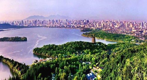 见证奇迹：杭州“轮胎龙头”中策橡胶IPO之路