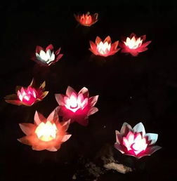 短篇 | 莲花灯：一盏灯火里的温暖记忆