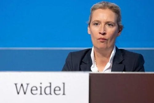 德国选择党主席魏德尔：一个极右翼政客的野心与挑战