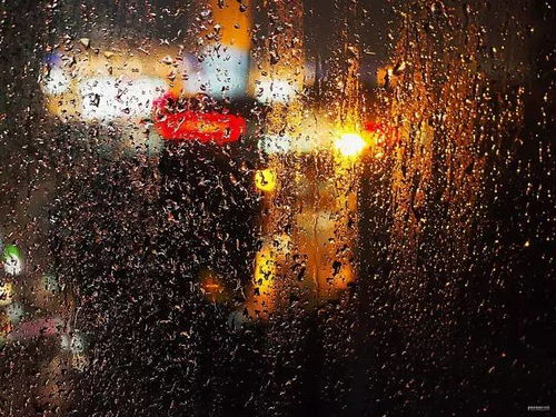 雨天漫步城市间，邂逅诗意的初夏