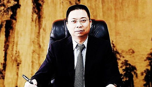 宝能姚振华被执行36.6亿：背后的故事与反思