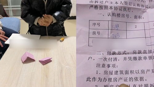 父亲通过抓阄给两儿子分房：一场公平与亲情的考验