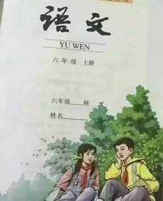 课本里没讲到的故事：那些隐藏在生活中的深刻启示