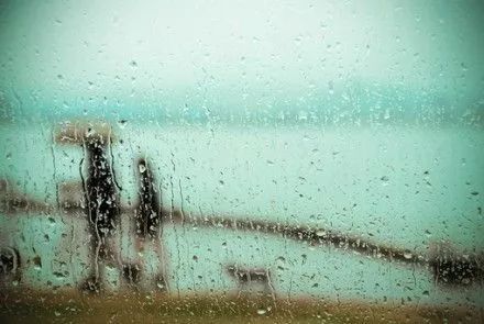 周末雨天的治愈之旅：一部日本犯罪剧情片带来的深思