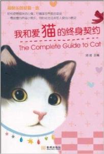 我与爱猫：一场跨越屏幕的心灵交流