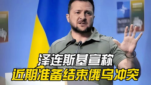 泽连斯基的和平愿景：2025年结束冲突的挑战与希望