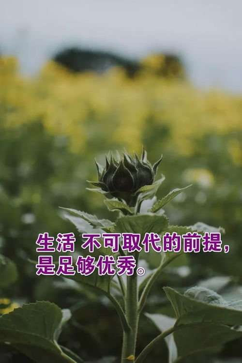 让它开始，它就会给你一个结果