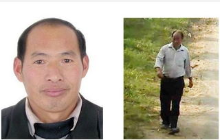 亲历者视角：悬赏10万元的真相与背后的故事