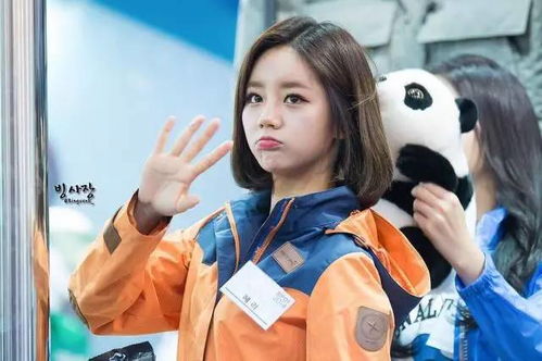 黑长直惠利欧尼的魅力之旅：一场关于美的邂逅