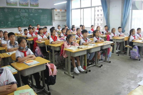 开学第一天：新学期的起点与成长