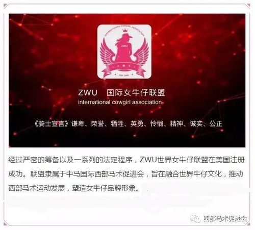 从失败到成功：小张的027总结经验之旅