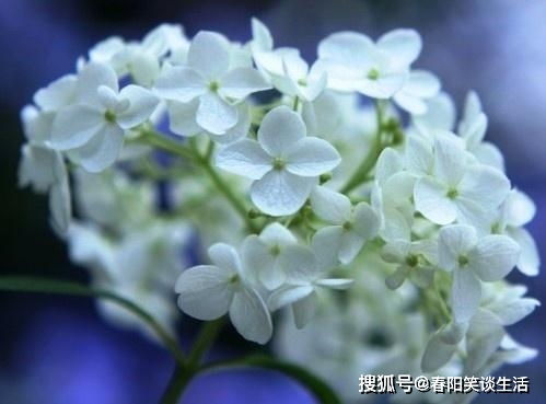 命运无常，人有常：在变化中寻找内心的安定