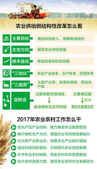 解读2025年中央一号文件：乡村振兴新篇章