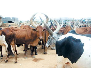 中国“最牛”县级市：江阴如何跑出62家上市公司，经济总量突破5100亿？