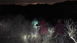 男子爬山偶遇两只大野猪：惊险瞬间与自救全攻略