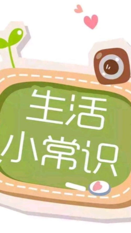 生活小技巧：让日子更简单、更美好的秘诀