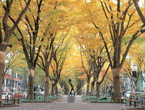 《仙台有树》：邓为的蜕变之路，一场关于成长与选择的旅程