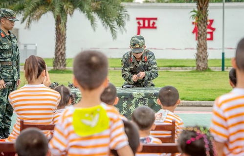 6.5万送娃进“天才营”，却换来拳打脚踢：家长的痛与反思