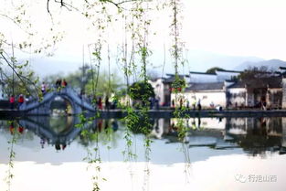 春涨一篙添水面：在山野间感受春天的诗意