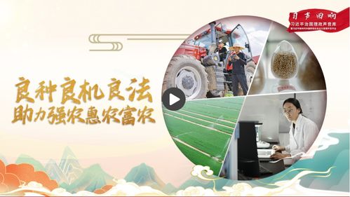 强农惠农富农政策持续加力，乡村振兴新篇章