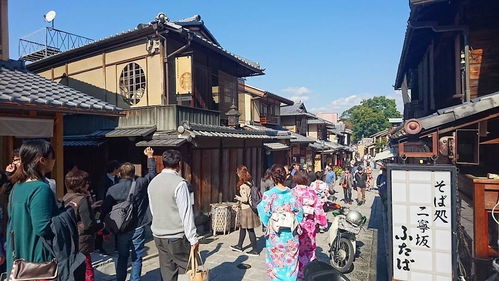 京都深度游：西芳寺的神秘之旅