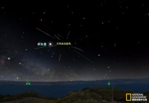 月夜下的思索：一场与自我对话的旅程