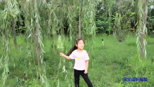 柳树下的故乡情结