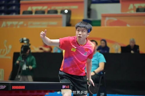 被王楚钦的庆祝动作硬控了：从无奈到释放，粉丝与偶像的双向奔赴