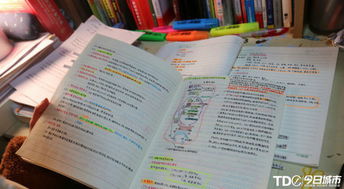 身为职场女性的读书感悟：在奋斗与成长中找到平衡