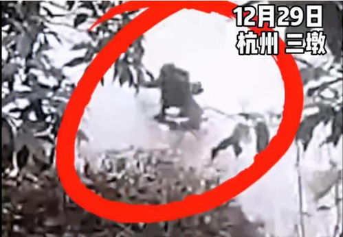 00后住户为杭州丽晶国际正名：别再妖魔化这个地方