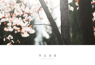 各地版冬去春来饭，抖音上的美食狂欢