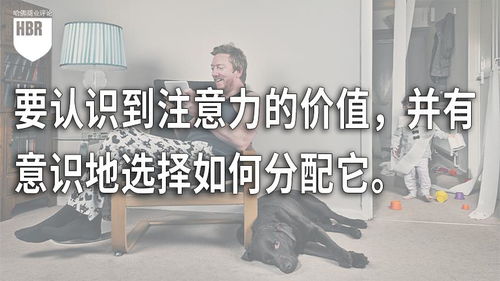 在纷扰世界中，7个习惯助我找回专注力