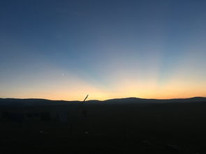 午后的阳光里，遇见美好