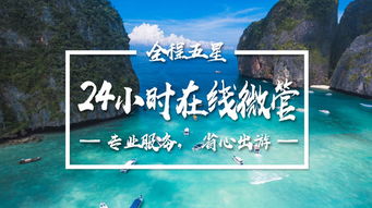 停留与收获：一场自我成长的旅程