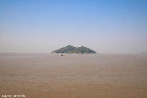 我有一个岛，叫做“一个岛”